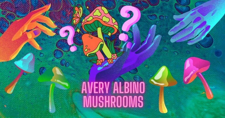 avery albino mushrooms