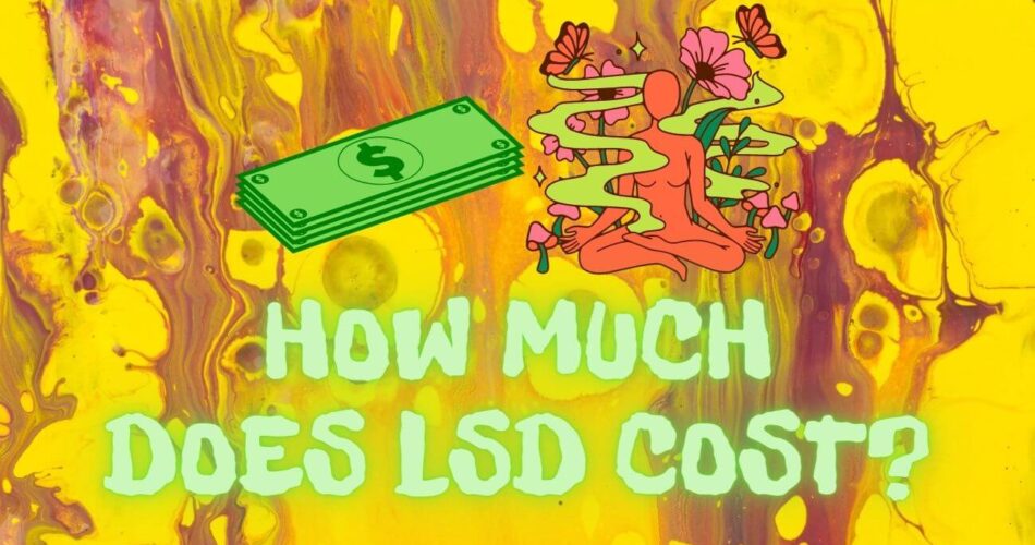 how much does lsd cost