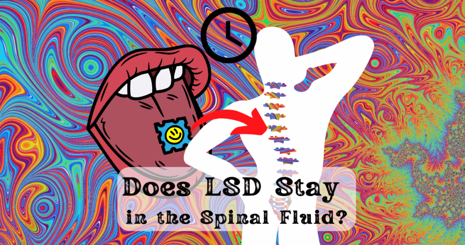 does lsd stay in the spinal fluid