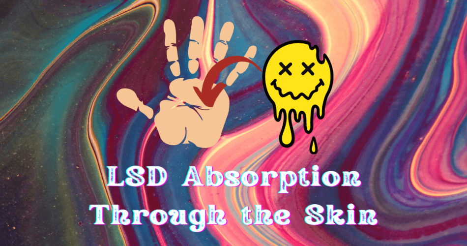 can lsd be absorbed through the skin