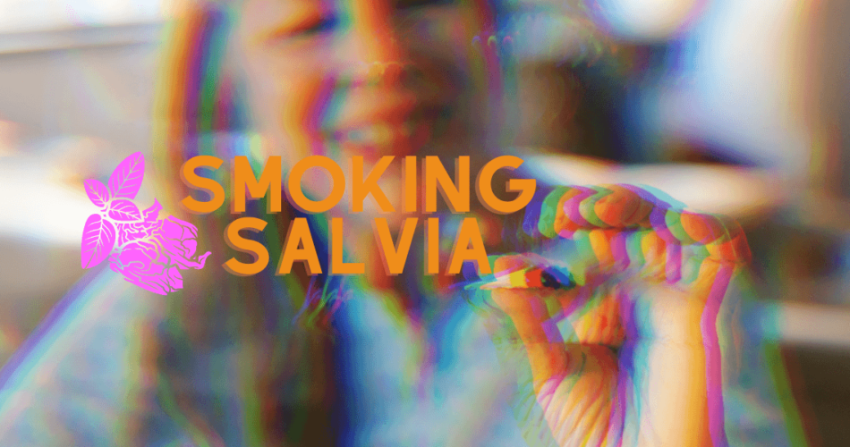 Smoking Salvia Divinorum: Effects of Salvia